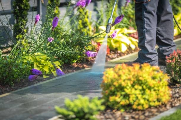 Best Spring Cleaning  in Christiana, TN