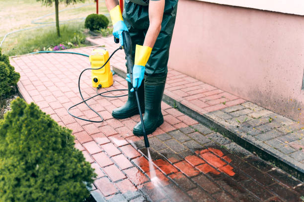 Best Building Exterior Washing  in Christiana, TN