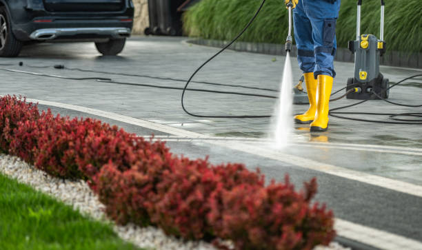 Best Dumpster Area Cleaning  in Christiana, TN